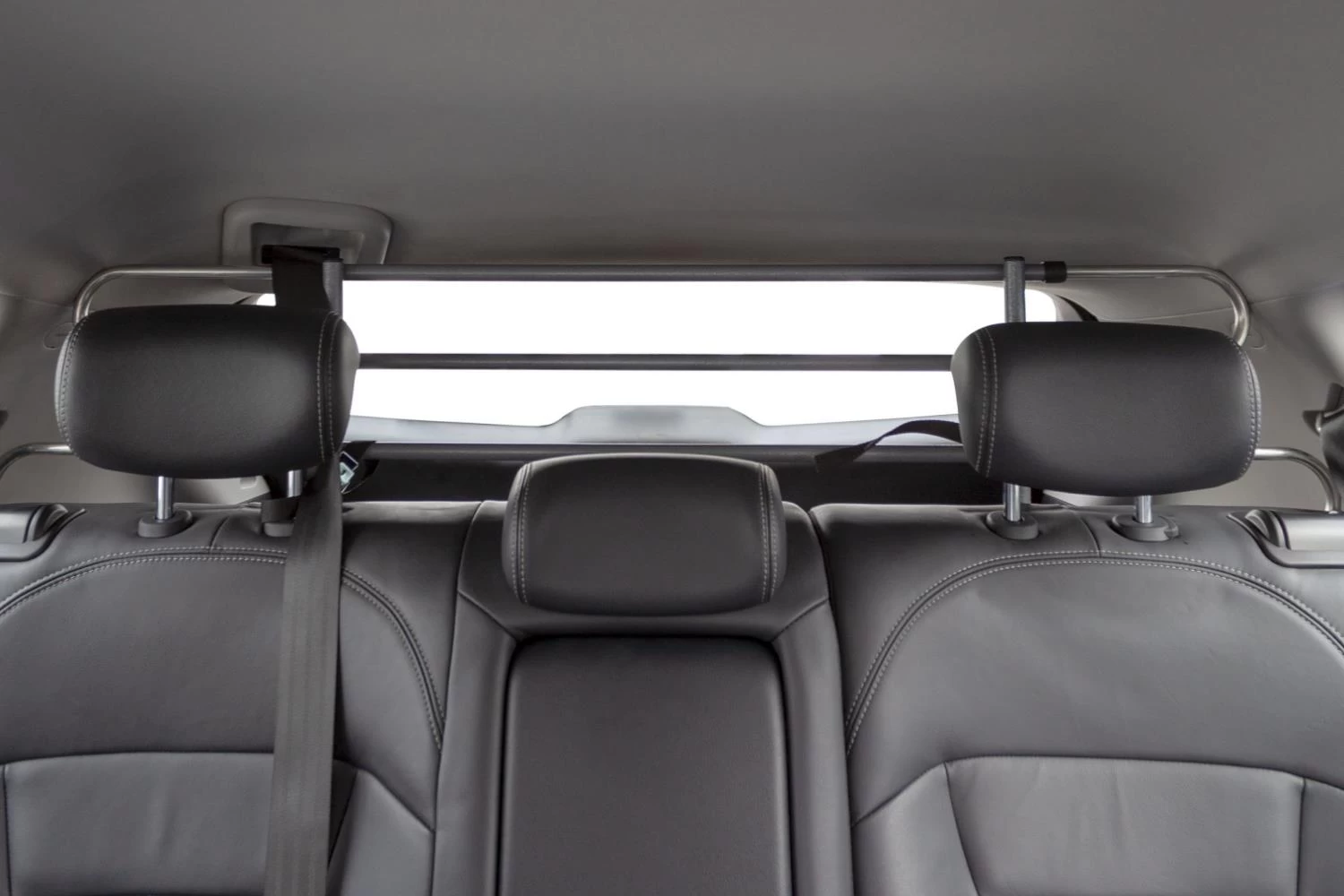 Dog Guard Aiways U5 2019-present Saunders W-Tube T94 - Afbeelding 8